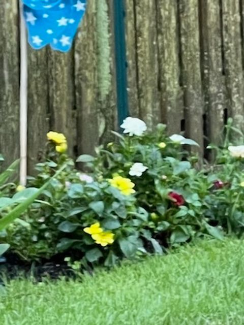 Tiny photo for 2323 Clyde Terrace, Homewood, IL 60430 (MLS # 12567682)