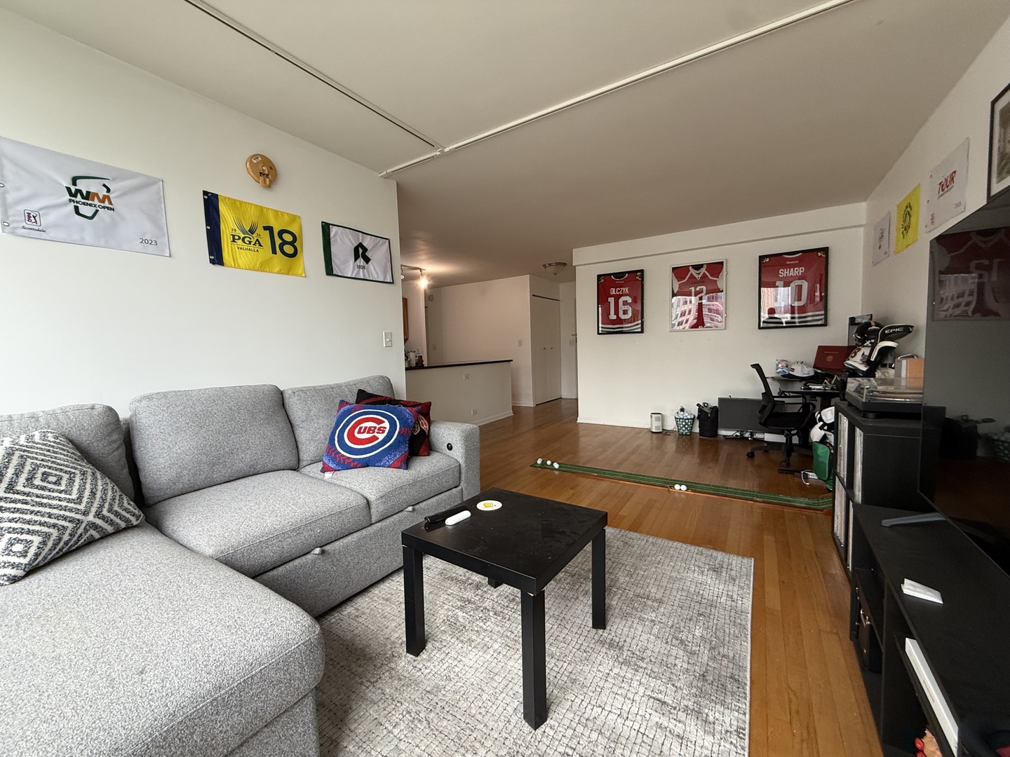 222 E PEARSON Street 2406