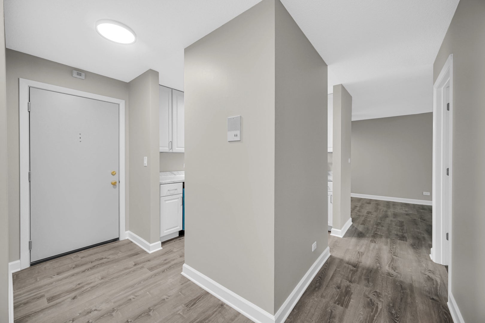 1133 Miller Lane 106
