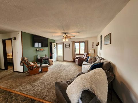 Tiny photo for 17001 Lowry Avenue, Benton, IL 62812 (MLS # 12595488)