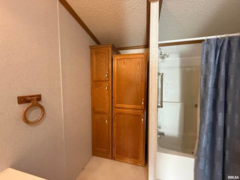 Tiny photo for 115 MOUNT JOY Road, Murphysboro, IL 62966 (MLS # EB459958)