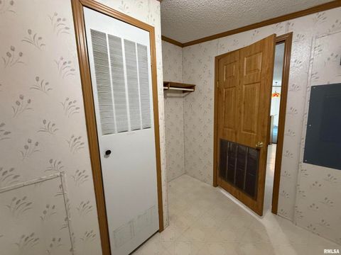 Tiny photo for 115 MOUNT JOY Road, Murphysboro, IL 62966 (MLS # EB459958)