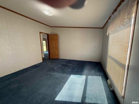 Tiny photo for 115 MOUNT JOY Road, Murphysboro, IL 62966 (MLS # EB459958)