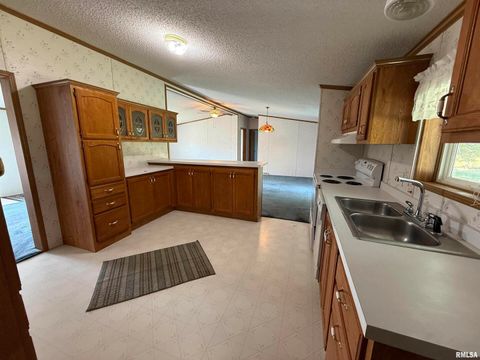 Tiny photo for 115 MOUNT JOY Road, Murphysboro, IL 62966 (MLS # EB459958)