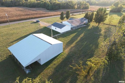 Tiny photo for 115 MOUNT JOY Road, Murphysboro, IL 62966 (MLS # EB459958)