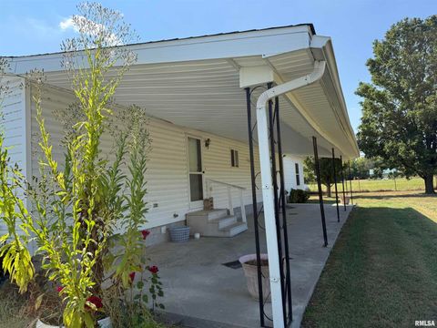 Tiny photo for 115 MOUNT JOY Road, Murphysboro, IL 62966 (MLS # EB459958)