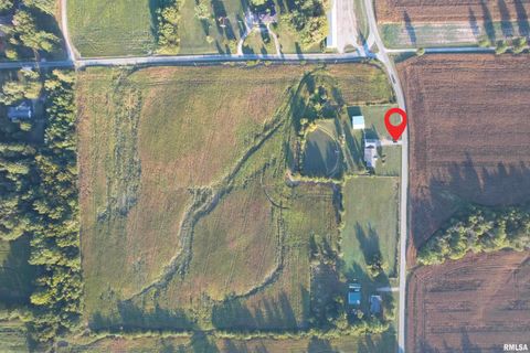 Tiny photo for 115 MOUNT JOY Road, Murphysboro, IL 62966 (MLS # EB459958)