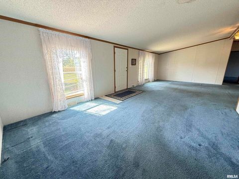 Tiny photo for 115 MOUNT JOY Road, Murphysboro, IL 62966 (MLS # EB459958)