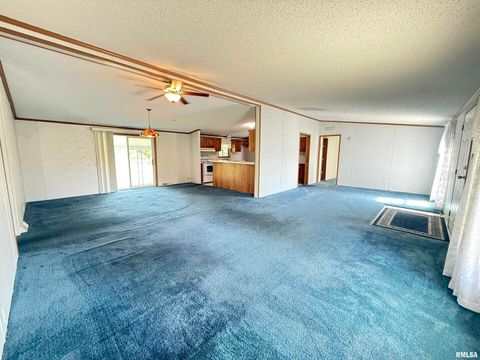 Tiny photo for 115 MOUNT JOY Road, Murphysboro, IL 62966 (MLS # EB459958)