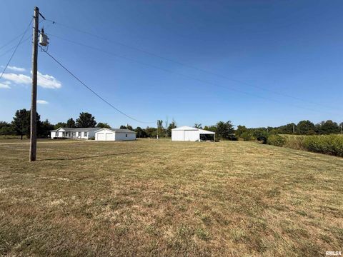 Tiny photo for 115 MOUNT JOY Road, Murphysboro, IL 62966 (MLS # EB459958)