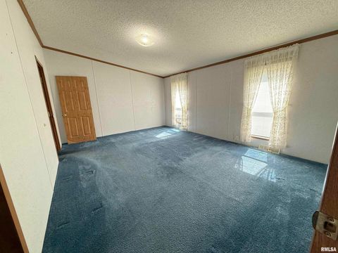 Tiny photo for 115 MOUNT JOY Road, Murphysboro, IL 62966 (MLS # EB459958)