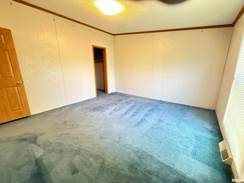 Tiny photo for 115 MOUNT JOY Road, Murphysboro, IL 62966 (MLS # EB459958)