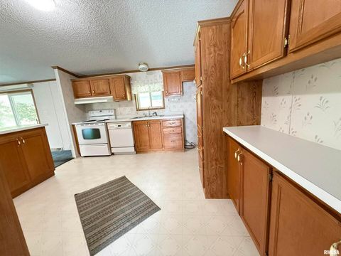 Tiny photo for 115 MOUNT JOY Road, Murphysboro, IL 62966 (MLS # EB459958)