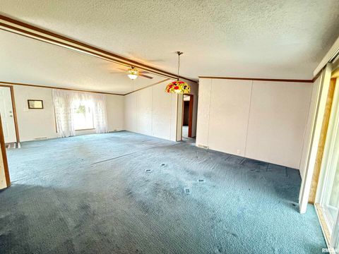 Tiny photo for 115 MOUNT JOY Road, Murphysboro, IL 62966 (MLS # EB459958)