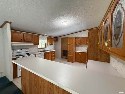 Tiny photo for 115 MOUNT JOY Road, Murphysboro, IL 62966 (MLS # EB459958)