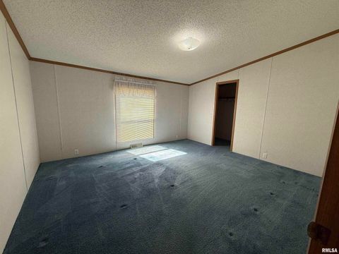 Tiny photo for 115 MOUNT JOY Road, Murphysboro, IL 62966 (MLS # EB459958)