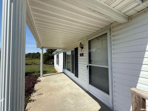 Tiny photo for 115 MOUNT JOY Road, Murphysboro, IL 62966 (MLS # EB459958)