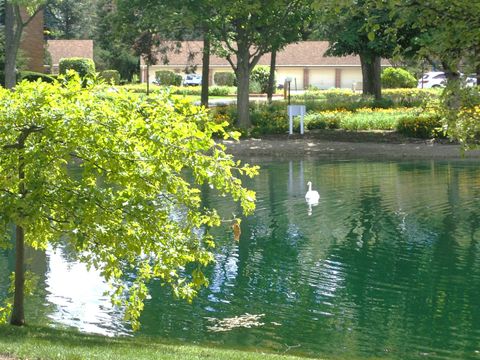 Tiny photo for 1127 S Old Wilke Road #101, Arlington Heights, IL 60005 (MLS # 12682143)