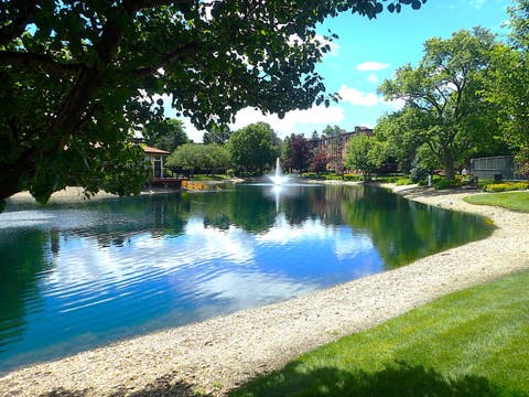 Tiny photo for 1127 S Old Wilke Road #101, Arlington Heights, IL 60005 (MLS # 12682143)