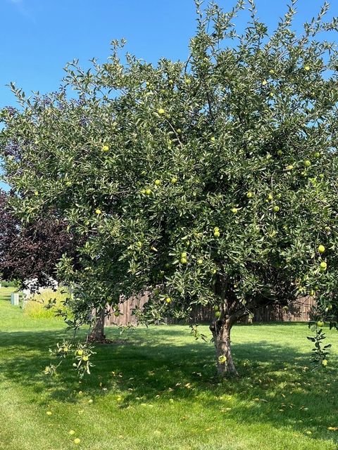 Tiny photo for 1807 Sunset Lane, Morris, IL 60450 (MLS # 12446998)