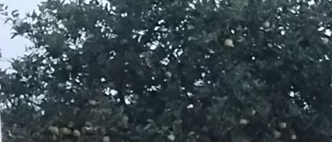 Tiny photo for 1807 Sunset Lane, Morris, IL 60450 (MLS # 12446998)