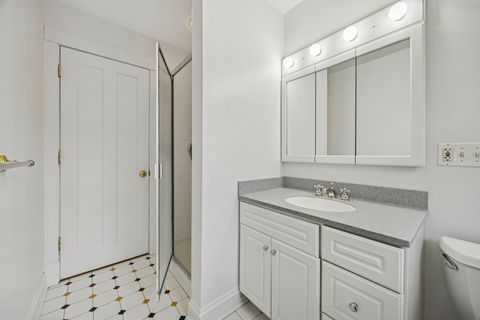 Tiny photo for 529 S Euclid Avenue, Oak Park, IL 60304 (MLS # 12573825)