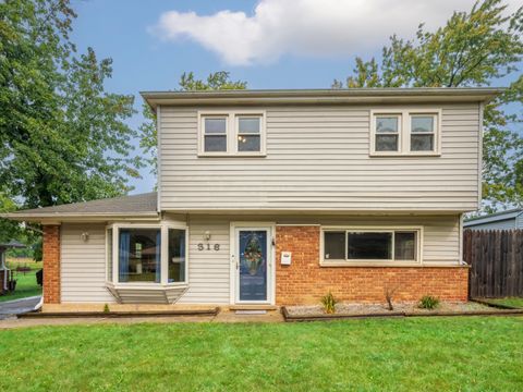 Tiny photo for 316 Sangamon Street, Park Forest, IL 60466 (MLS # 12467051)