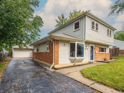 Photo of 316 Sangamon Street, Park Forest, IL 60466 (MLS # 12467051)