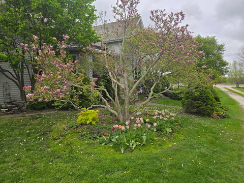 Tiny photo for 21443 Airport Road, Sycamore, IL 60178 (MLS # 12777727)
