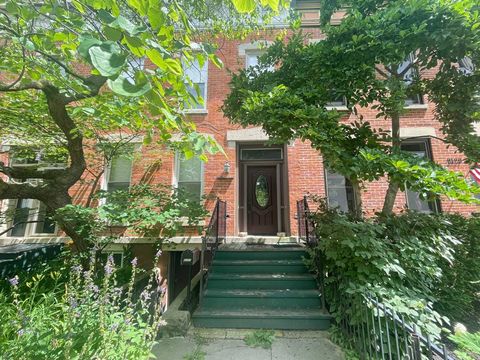 2127 W Bowler Street Chicago IL 60612