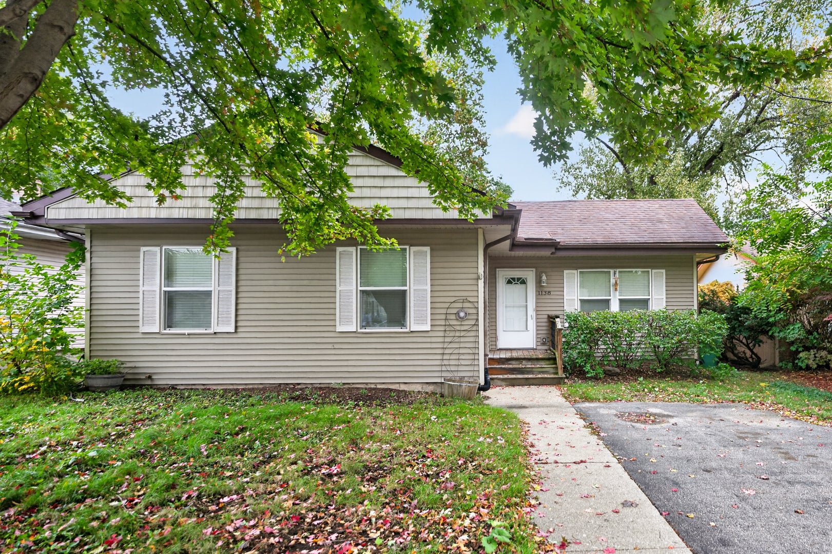 1138 Wild Street
