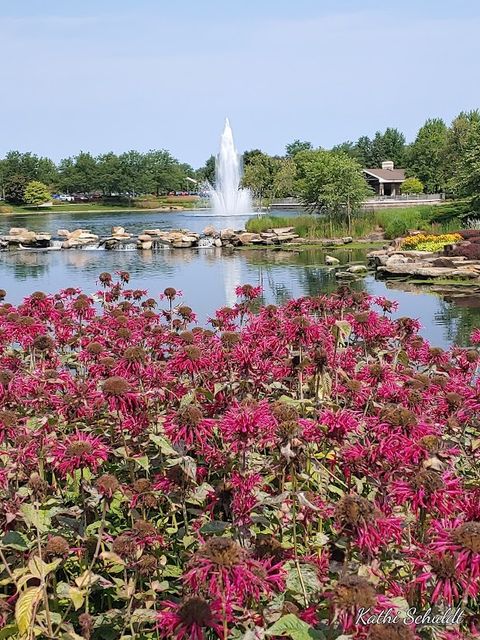 Tiny photo for 13327 Michigan Avenue #1, Huntley, IL 60142 (MLS # 12497984)