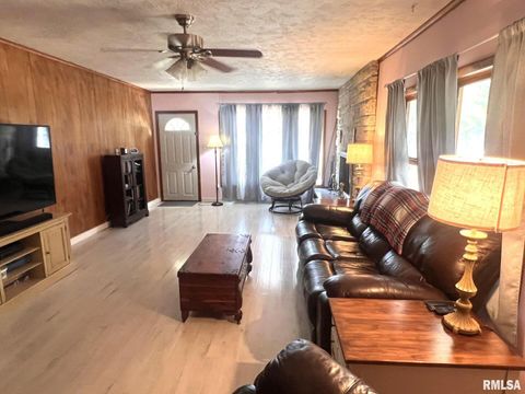 Tiny photo for 12563 Saraville Road, Marion, IL 62959 (MLS # QC4268516)