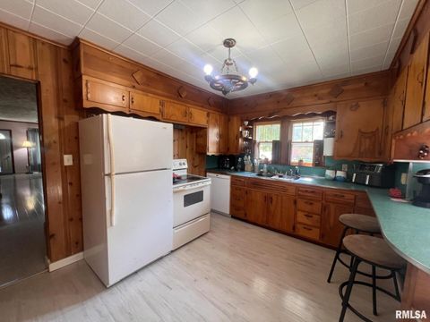 Tiny photo for 12563 Saraville Road, Marion, IL 62959 (MLS # QC4268516)