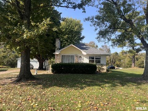 Tiny photo for 12563 Saraville Road, Marion, IL 62959 (MLS # QC4268516)