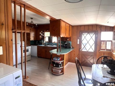 Tiny photo for 12563 Saraville Road, Marion, IL 62959 (MLS # QC4268516)