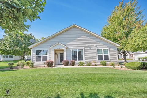 Photo of 1517 W Ludington Circle, Romeoville, IL 60446 (MLS # 12459231)