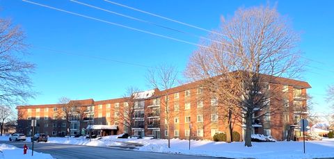 Tiny photo for 1025 S Fernandez Avenue #1D, Arlington Heights, IL 60005 (MLS # 12526927)