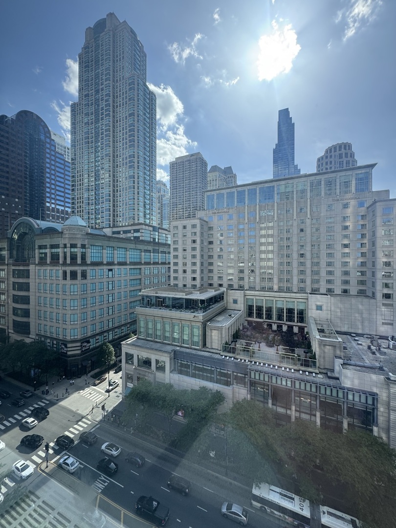 777 N Michigan Avenue 1509