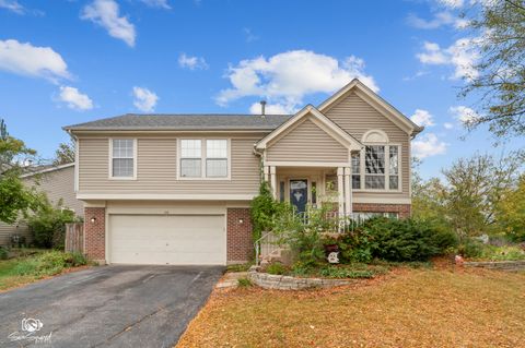 Photo of 178 Wildberry Court, Aurora, IL 60504 (MLS # 12491629)