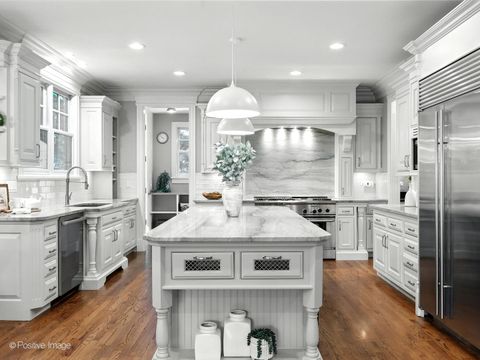 Tiny photo for 117 N Monroe Street, Hinsdale, IL 60521 (MLS # 12496639)