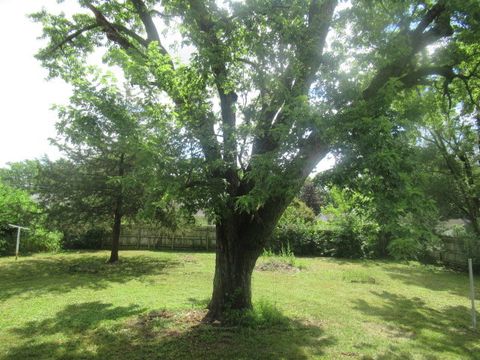 Tiny photo for 211 S Lafayette Street, Byron, IL 61010 (MLS # 12430066)