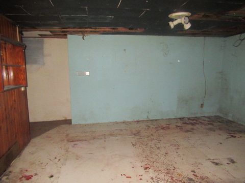 Tiny photo for 211 S Lafayette Street, Byron, IL 61010 (MLS # 12430066)