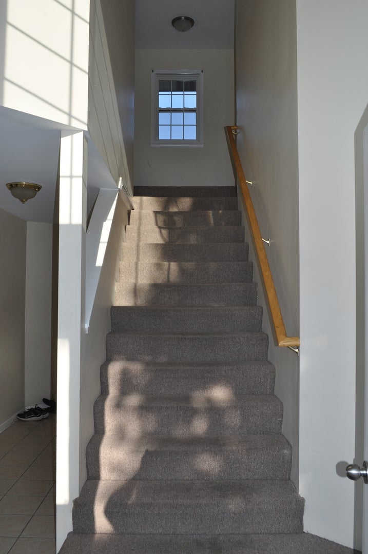223 S Rush Street 2D