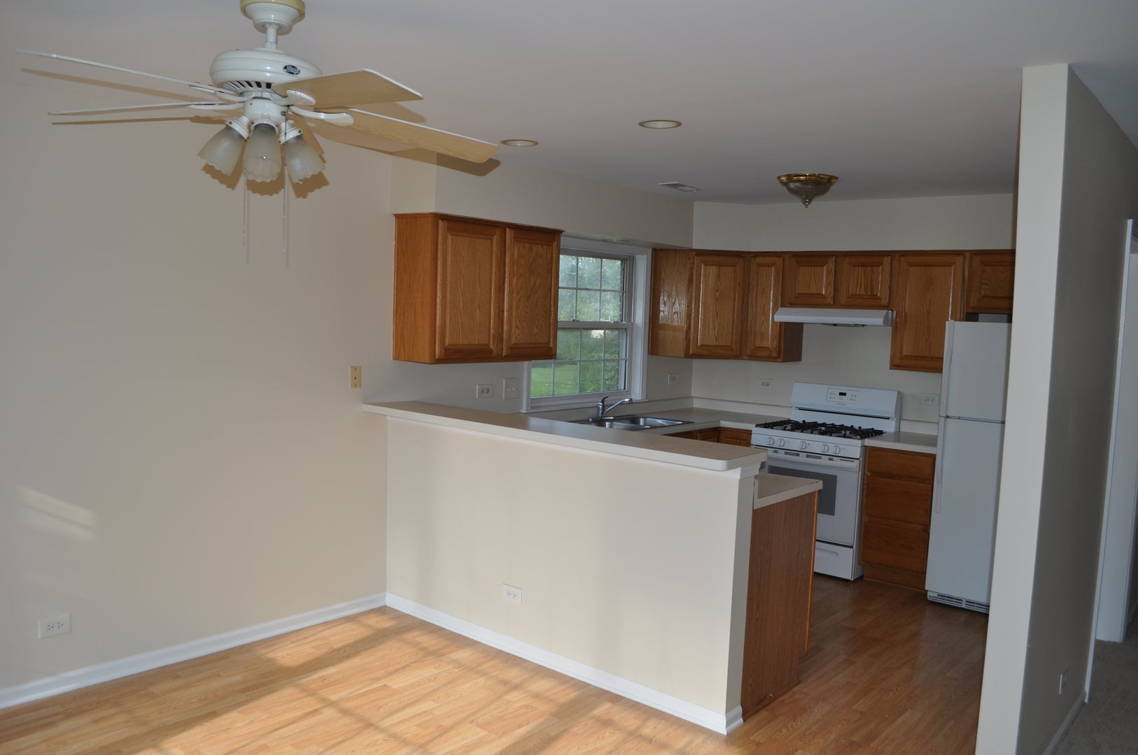 223 S Rush Street 2D