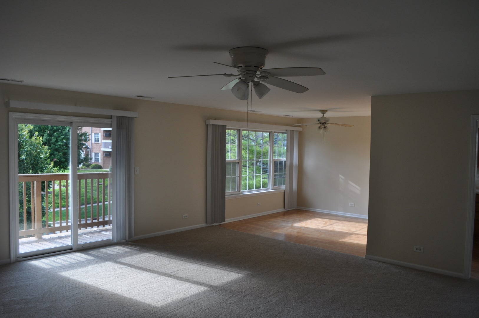 223 S Rush Street 2D