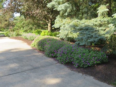 Tiny photo for 295 W Grandin Road, Morris, IL 60450 (MLS # 12788622)