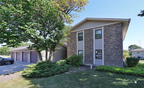 1370 ALPINE Court A Hanover Park IL 60133