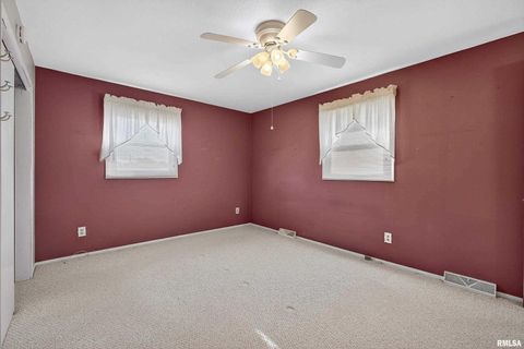 Tiny photo for 304 4TH Avenue, Colona, IL 61241 (MLS # QC4269537)