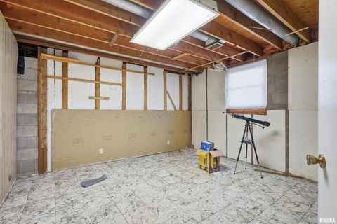 Tiny photo for 304 4TH Avenue, Colona, IL 61241 (MLS # QC4269537)